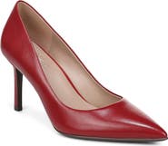 Naturalizer Anna Pointed Toe Pump