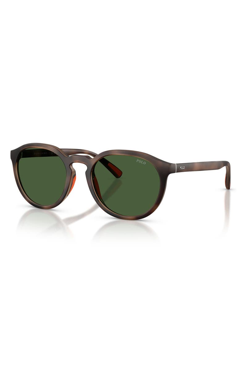 Polo Ralph Lauren 53mm Round Sunglasses, Alternate, color, Matte Dark Havana / Green