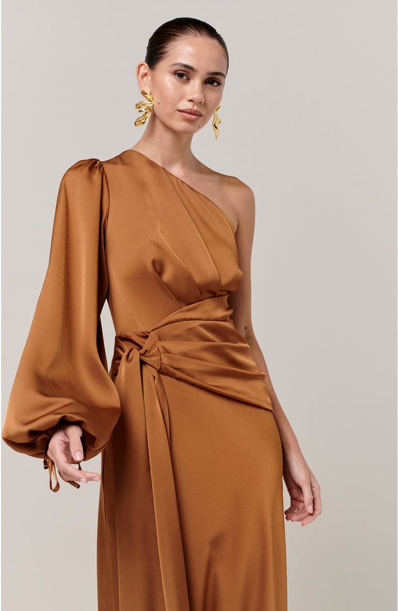 SAVEL Pollie Maxi Dress, Alternate, color, Bronze