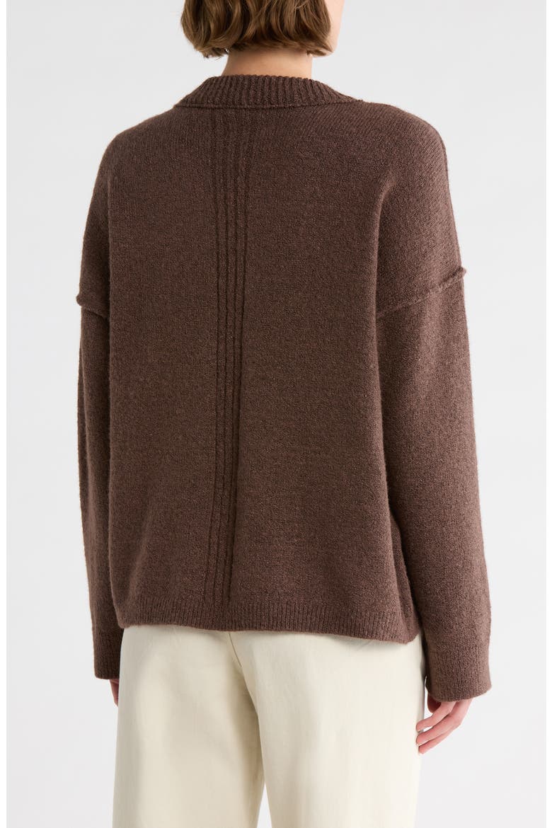 Rib Trim V-Neck Sweater, Alternate, color, BROWN FAWN