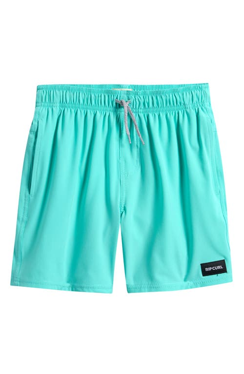 Rip Curl Kids' Volley Swim Trunks In Brown
