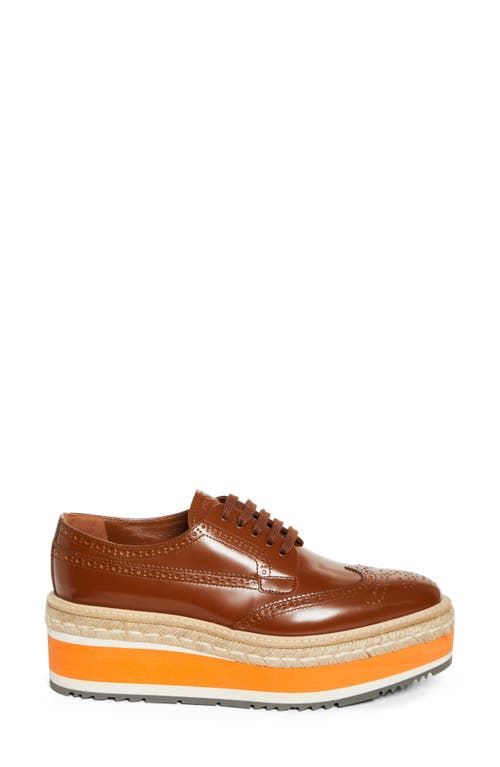 Prada Spazzolato Re-edition Platform Wingtip Loafers In Tabacco