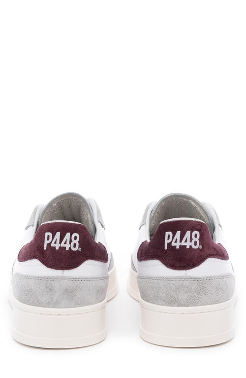 P448 Bali Lace-up Sneaker