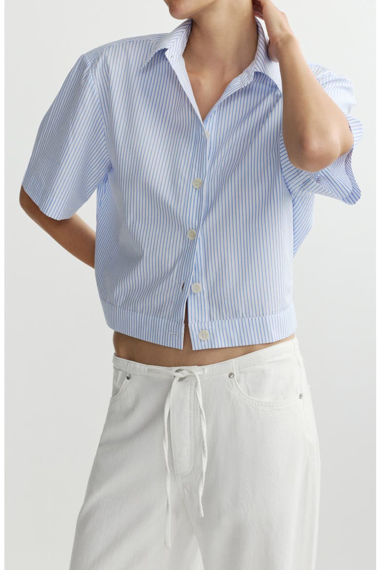 Carlee Stripe Woven Crop Top, Main, color, PICNIC