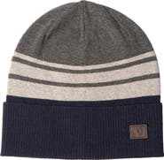 TailorByrd Striped Beanie