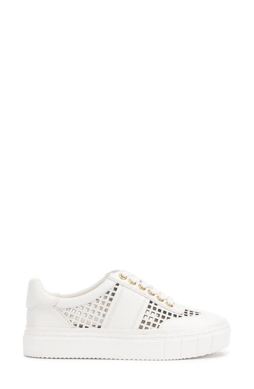 Vince Camuto Vc-raiden Sneaker In White