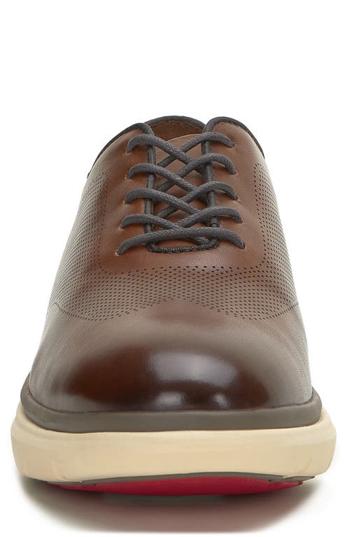 Vince Camuto Talmai Sneaker In Brown