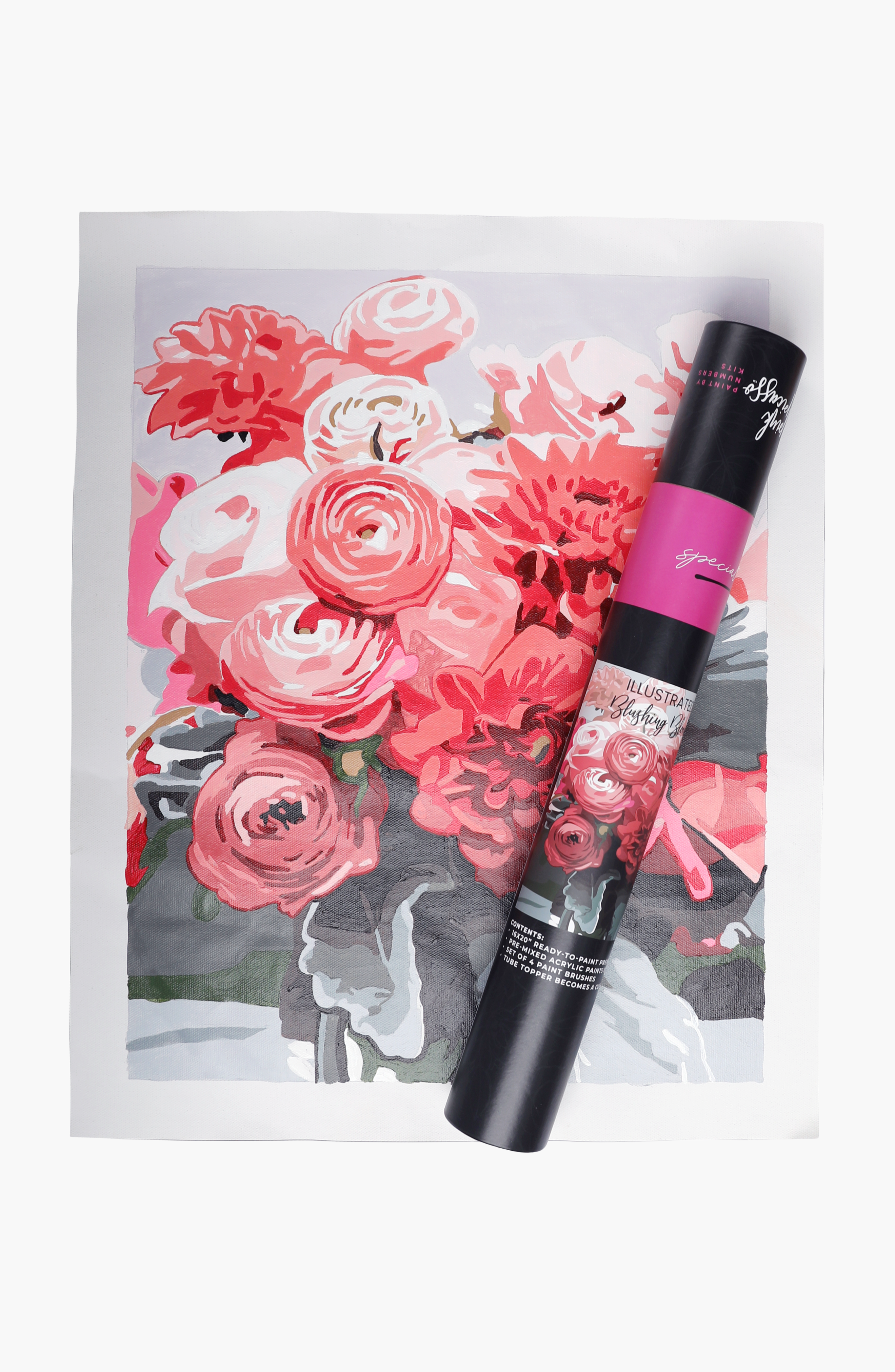 Pink Picasso Kits Blushing Blooms Special Edition Illustrated Paint by Numbers Kit 