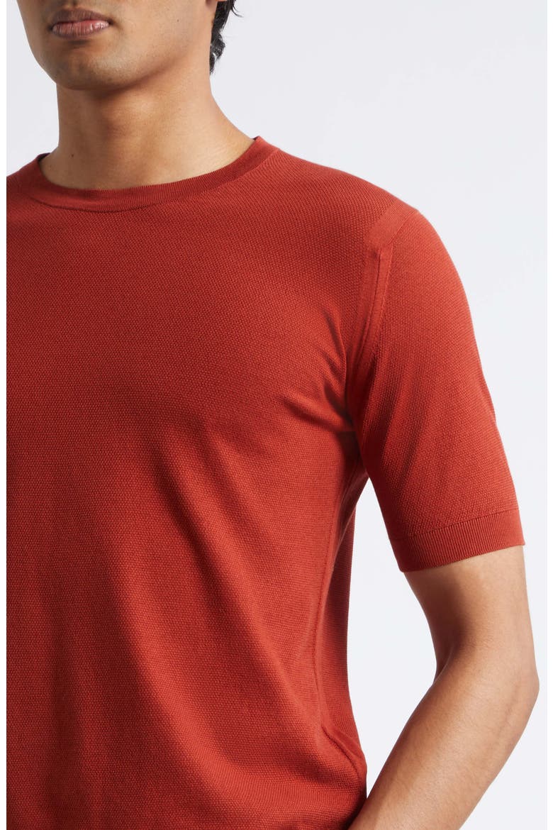 Park Cotton Piqué T-Shirt, Alternate, color, ROOBOIS