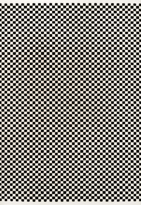 Finn High-Low Modern Minimalist Checkered Monotone Area Rug