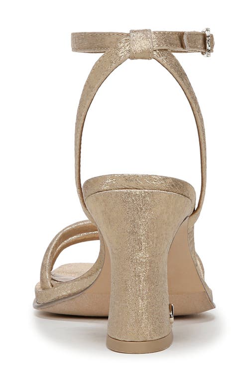 Circus Ny By Sam Edelman Holly Ankle Strap Sandal In Soft Gold