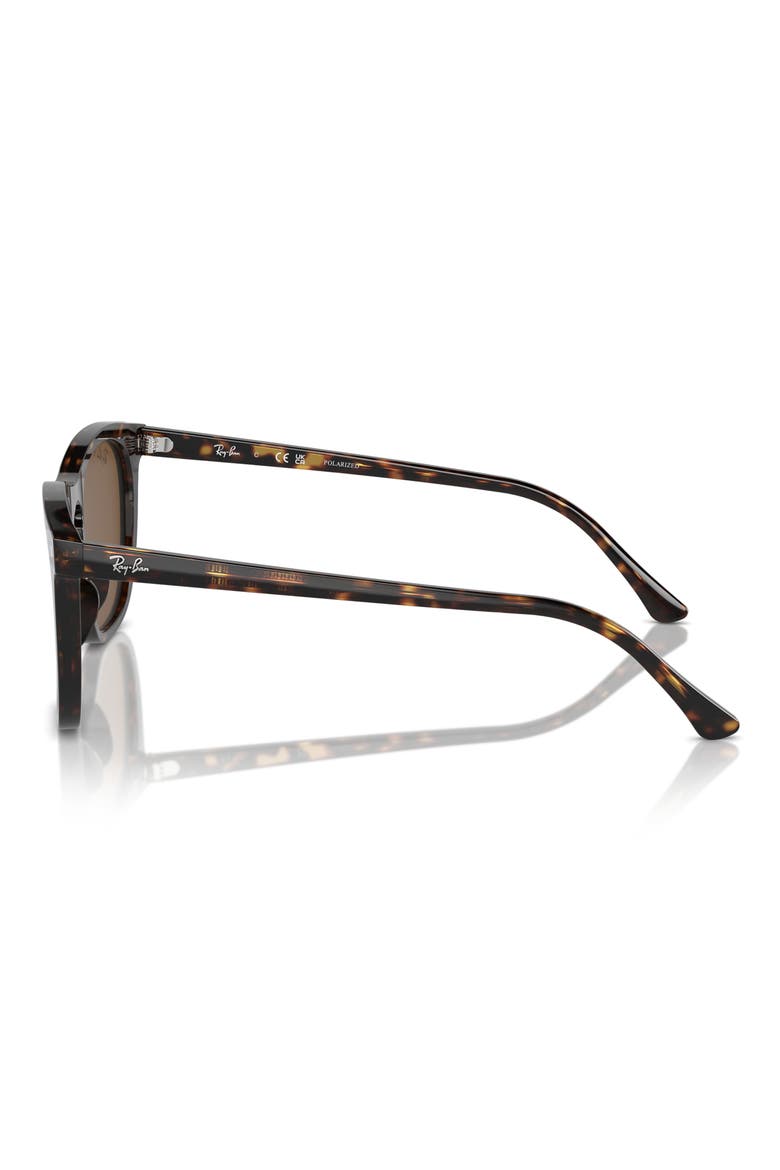 53mm Polarized Square Sunglasses, Alternate, color, HAVANA