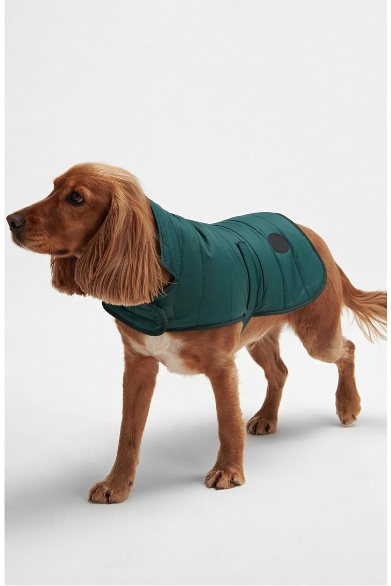 Baffle Quilted Dog Coat, Alternate, color, EVERGREEN