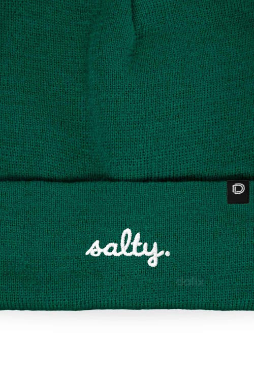 Dalix Salty Beanie Cap In Green
