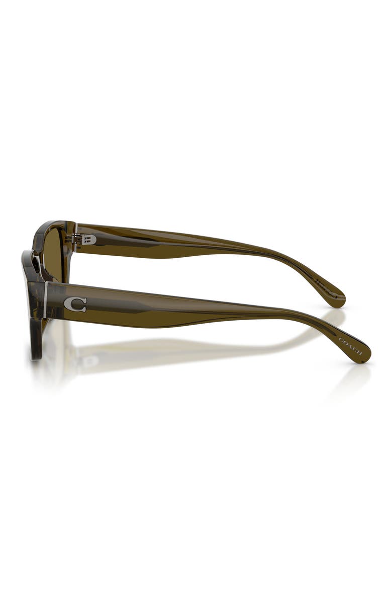 55mm Rectangular Sunglasses, Alternate, color, TRANSPARENT OLIVE / GREEN