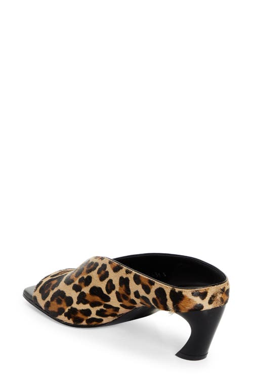 Alexander Mcqueen Mcqueen Genuine Calf Hair Open Toe Mule In Leopard Print Calf Hair/black