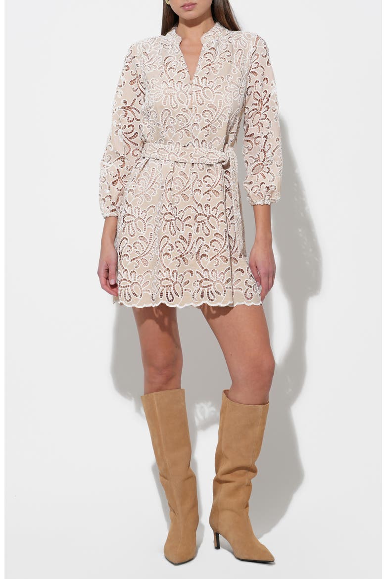 Lina Embroidered Minidress, Alternate, color, NATURAL