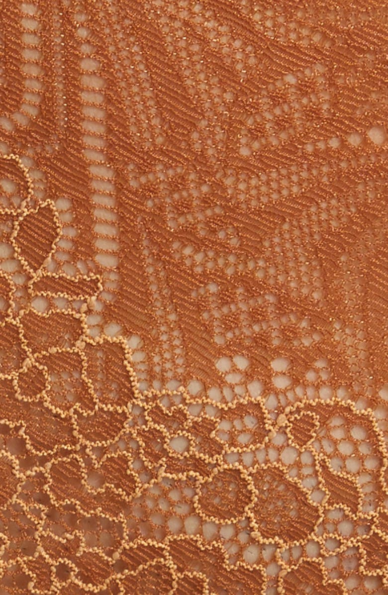 Madewell Lace Tanga, Alternate, color, 