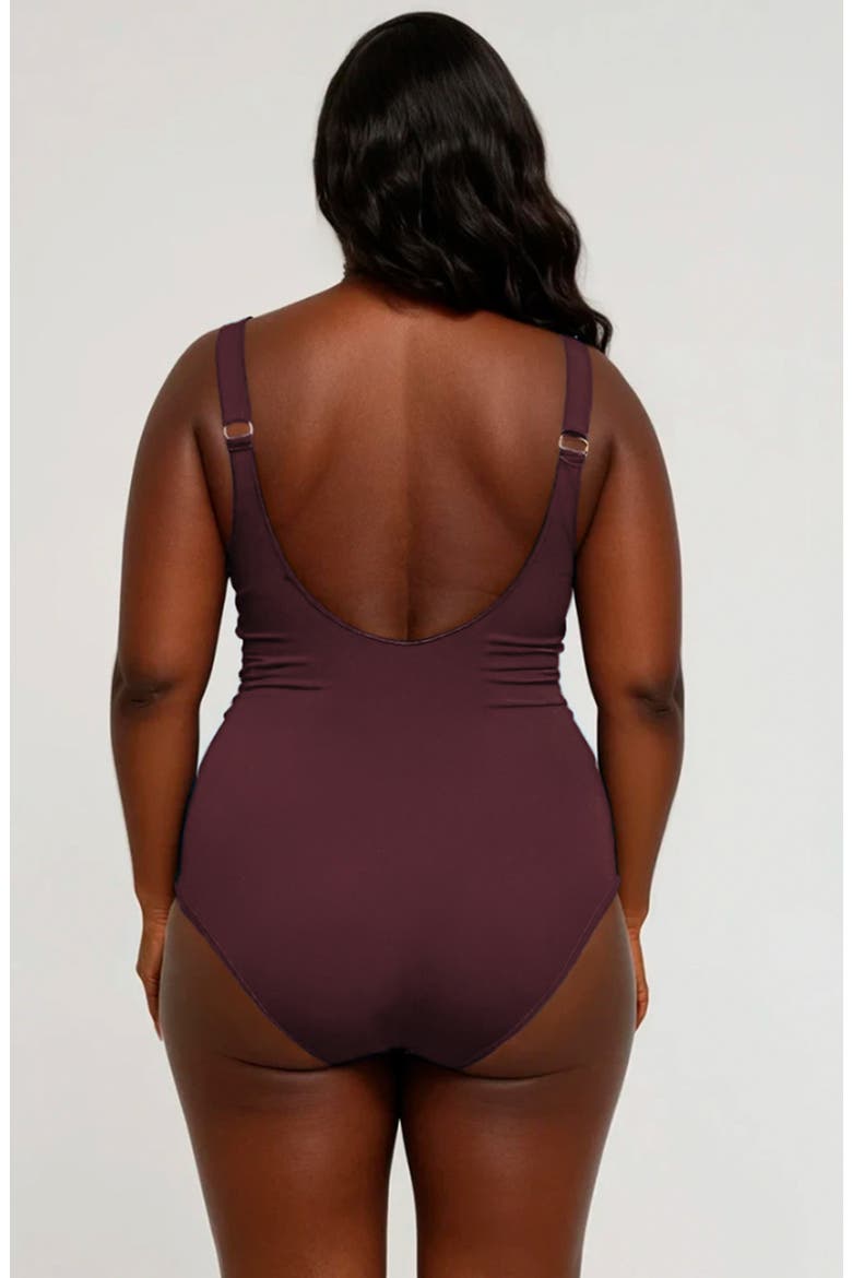 Plus Size Mila One-Piece Swimsuit With Built-In Bra and Tummy Control, Alternate, color, Wine