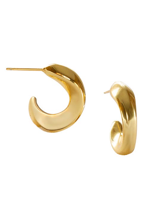 Sia Hoop Earrings