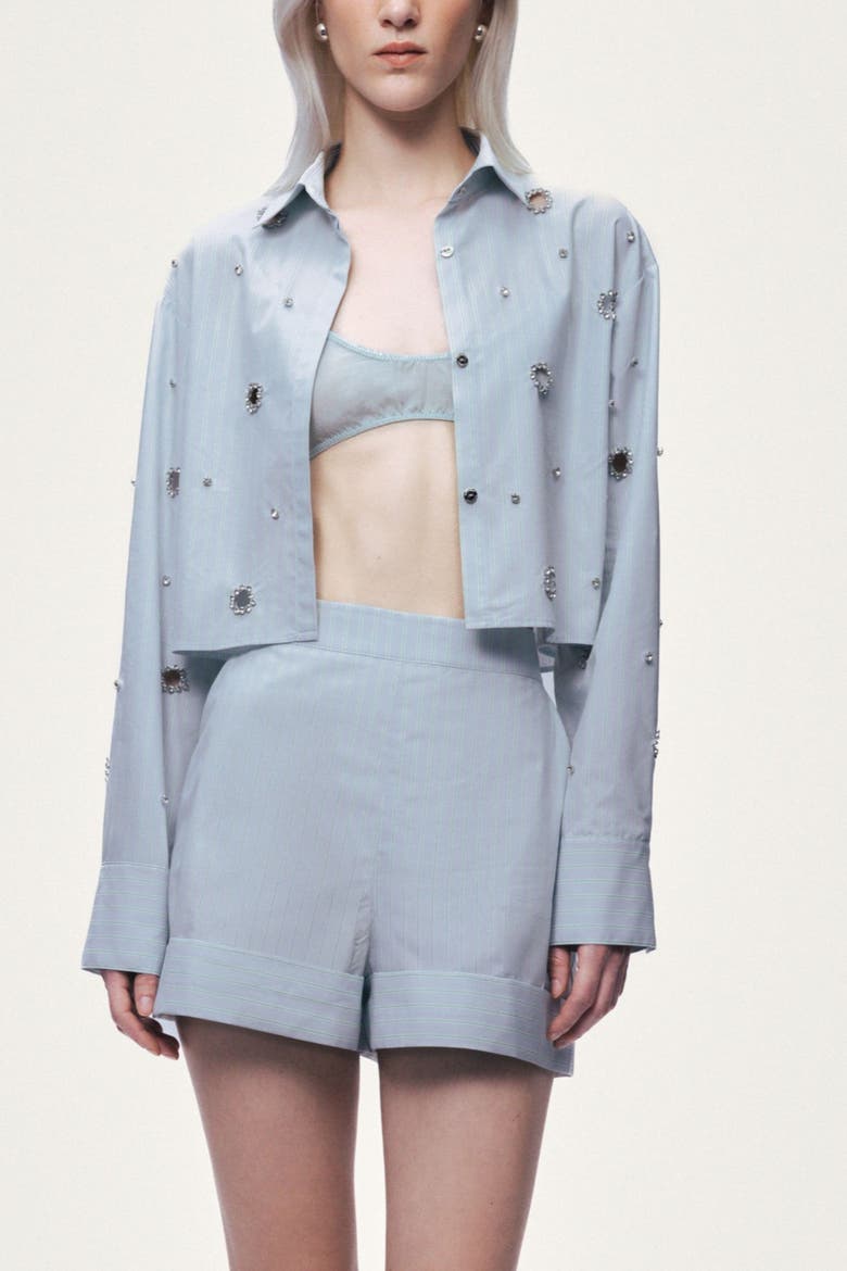 Stone Detail Crop Shirt, Alternate, color, Mint Green