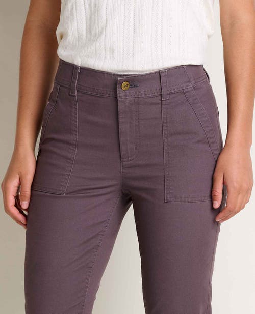 Toad And Co Earthworks Slim Pants In Purple