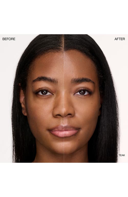 Ogee Complexion Perfecting Concealer In Brown