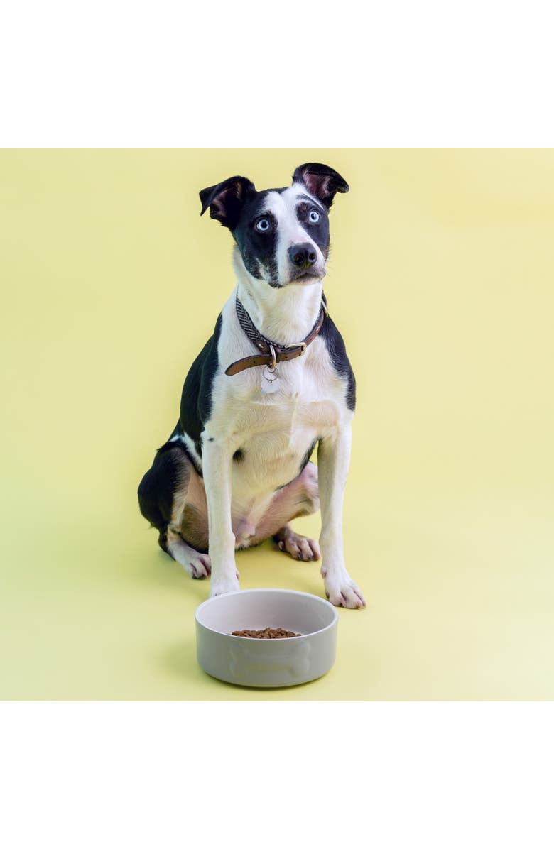 MASON CASH Embossed Bone Dog Bowl, 8 Inch, 50.7oz, Food and Water Dish, Alternate, color, Gray