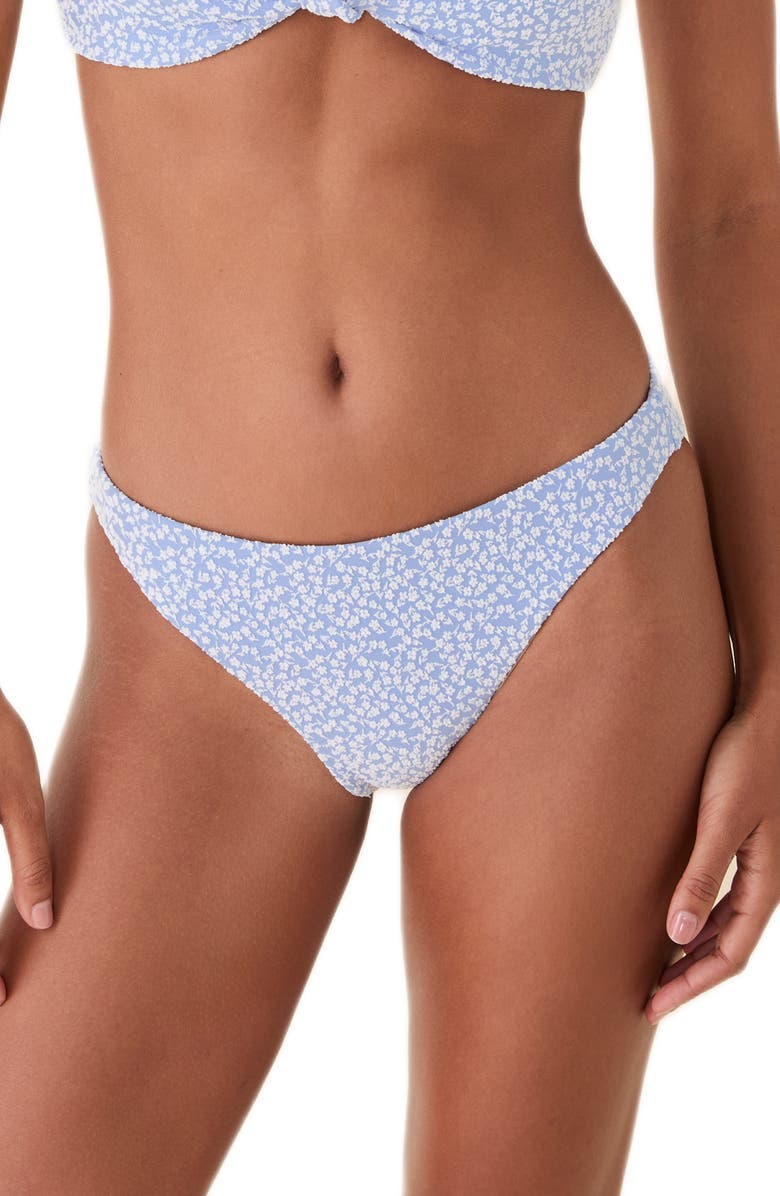Andie The Signature Bikini Bottoms, Main, color, Misty