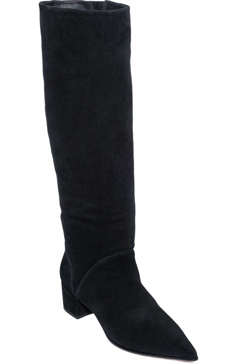 Bernardo Footwear Milano Knee-High Pointed Toe Boot, Alternate, color,