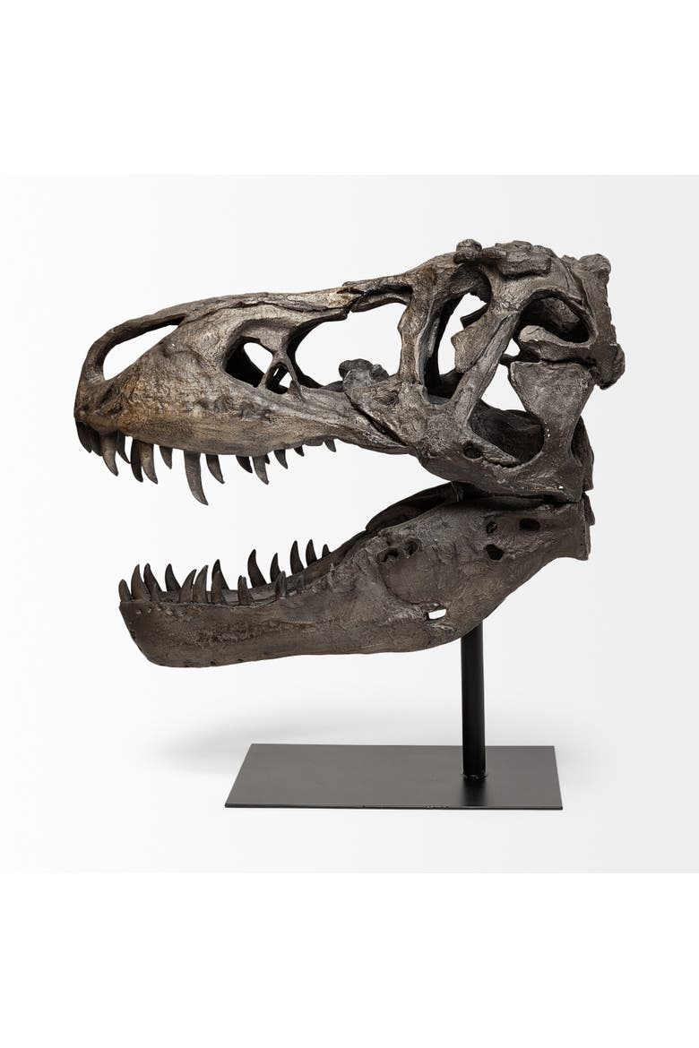 Jurassic Resin Dinosaur Skull Replica, Alternate, color, Brown
