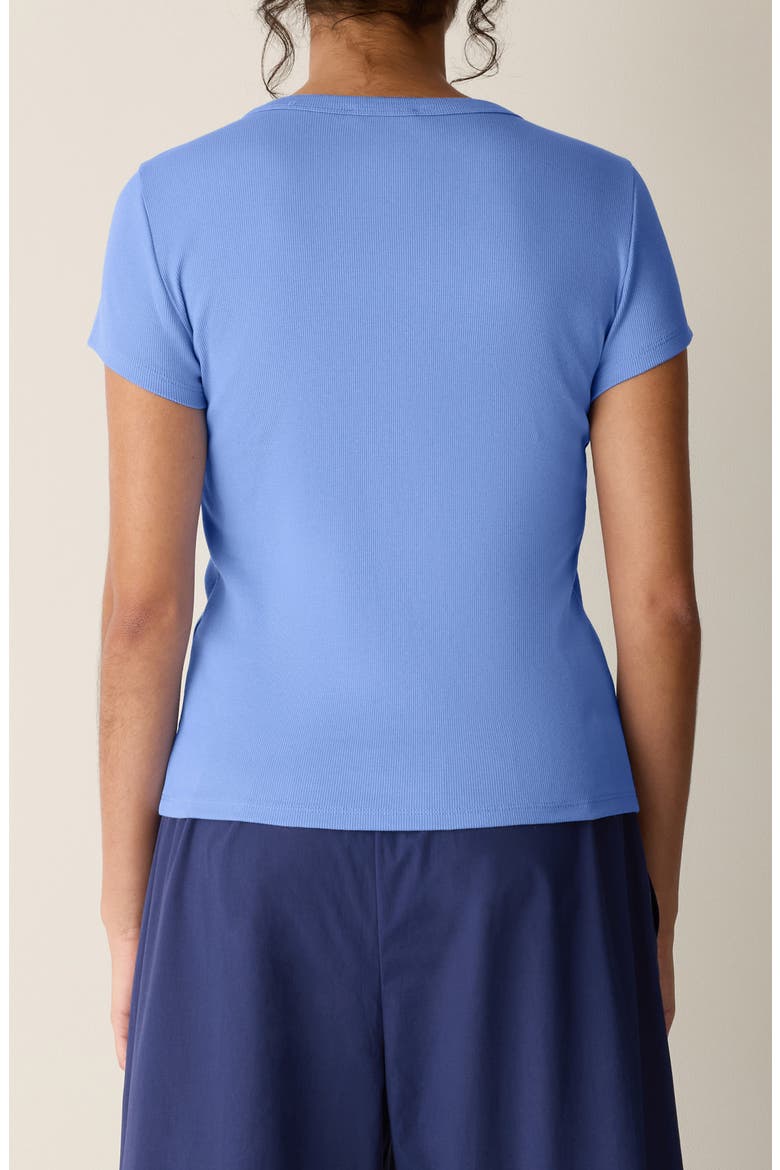 Crewneck T-Shirt, Alternate, color, CORNFLOWER