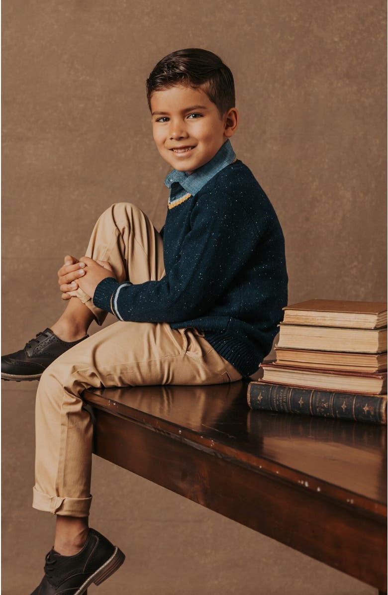 Hope & Henry Boys' Organic V-Neck Sweater, Kids, Alternate, color, Navy Fleck With Tipping