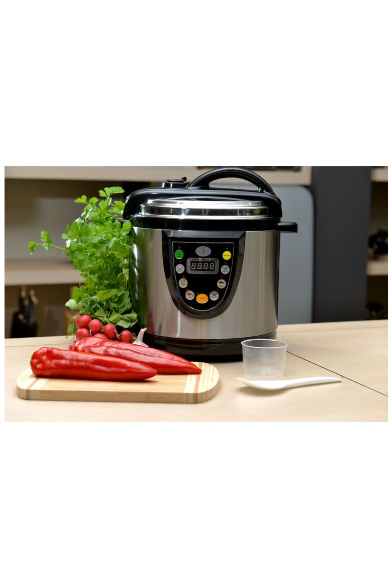 Electric 5-in-1 Pressure/Slow/Rice Cooker/Steamer/Warmer, Alternate, color, SILVER