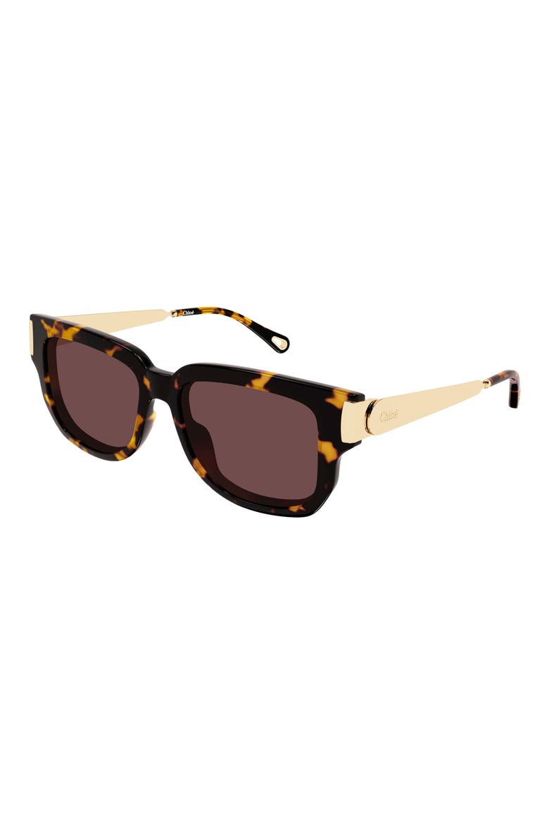 54mm Rectangular Sunglasses, Alternate, color, HAVANA