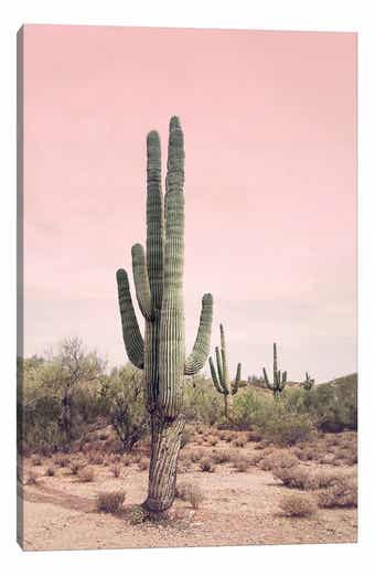 iCanvas Cactus Photography Canvas Print