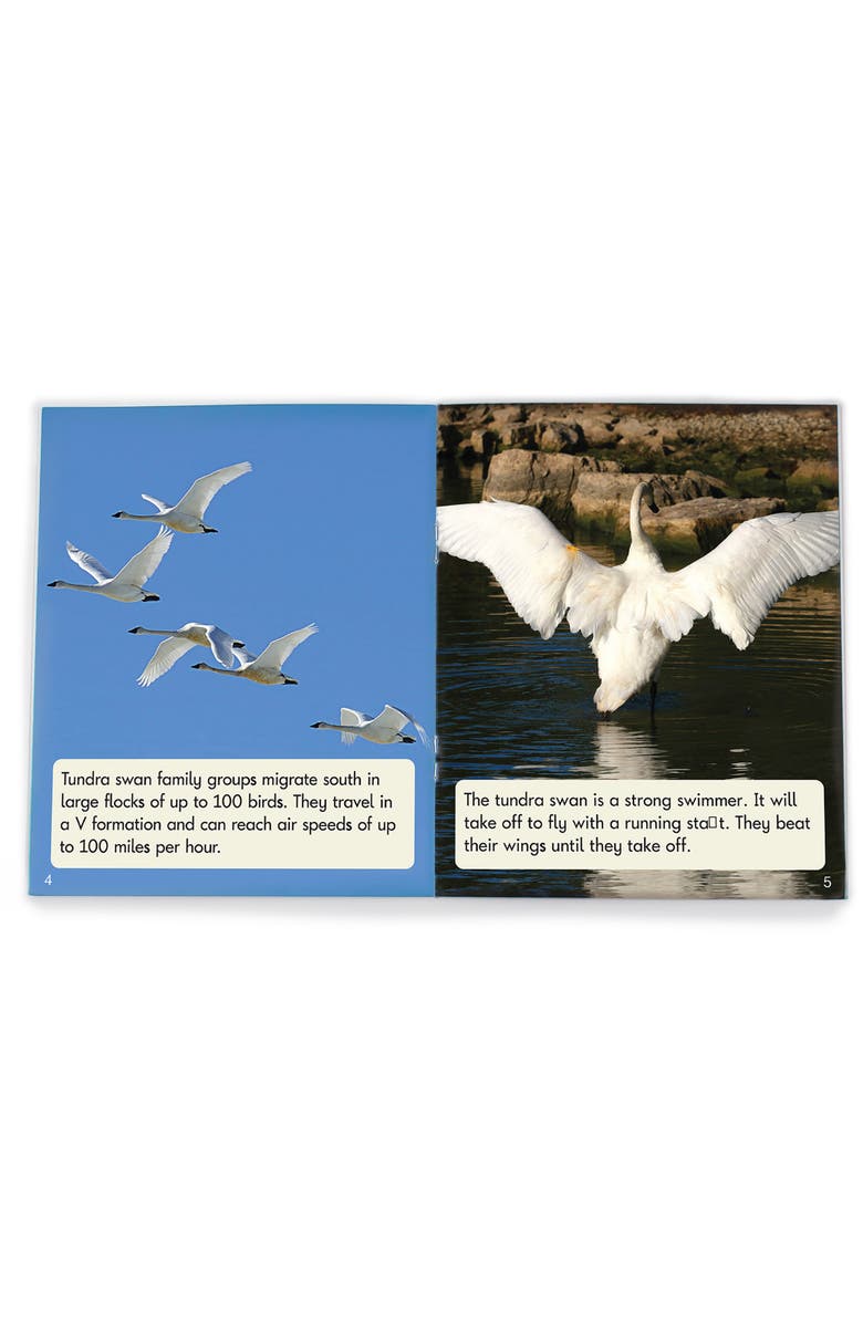 Junior Learning Decodable Readers Educational Set, Alternate, color, Multicolored