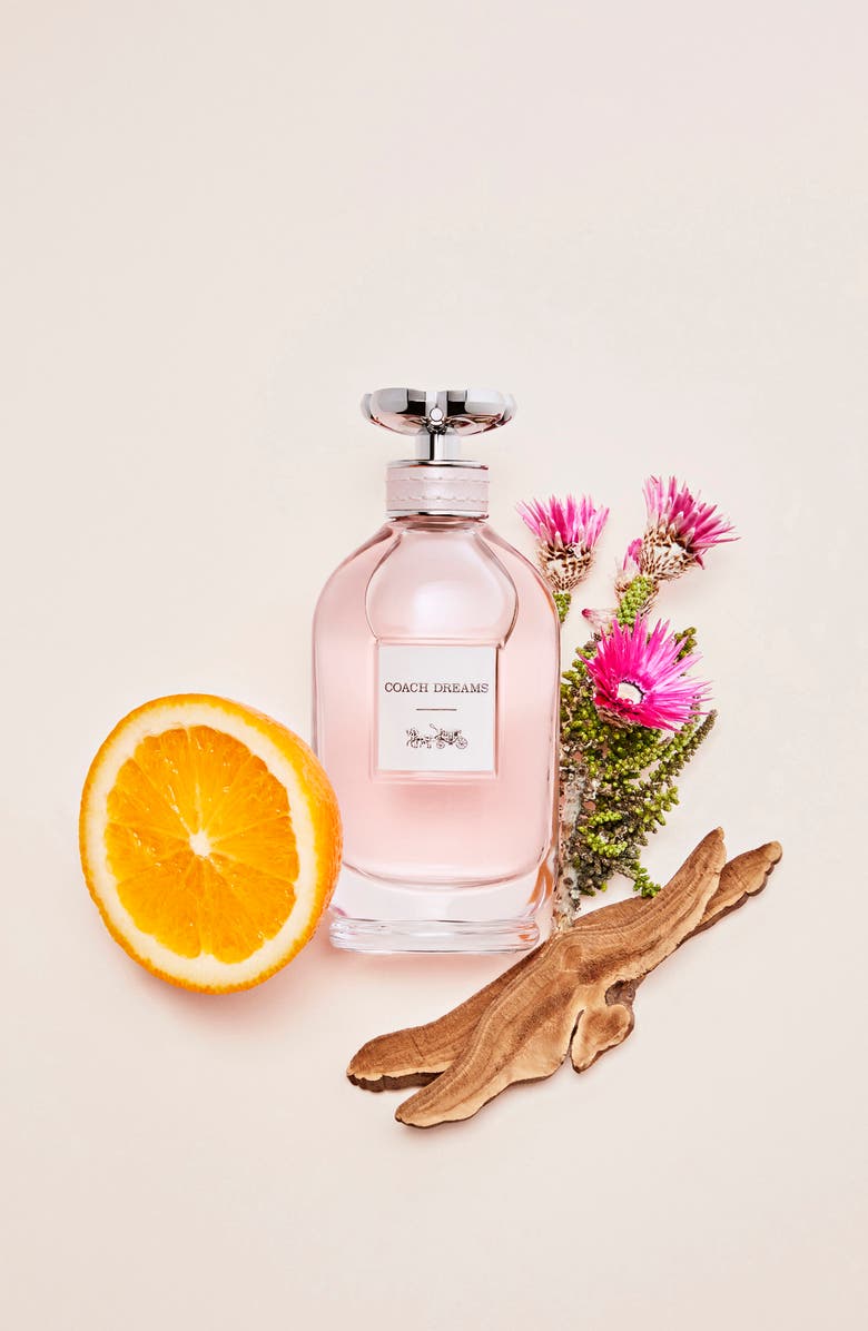 COACH Dreams Eau de Parfum, Alternate, color,
