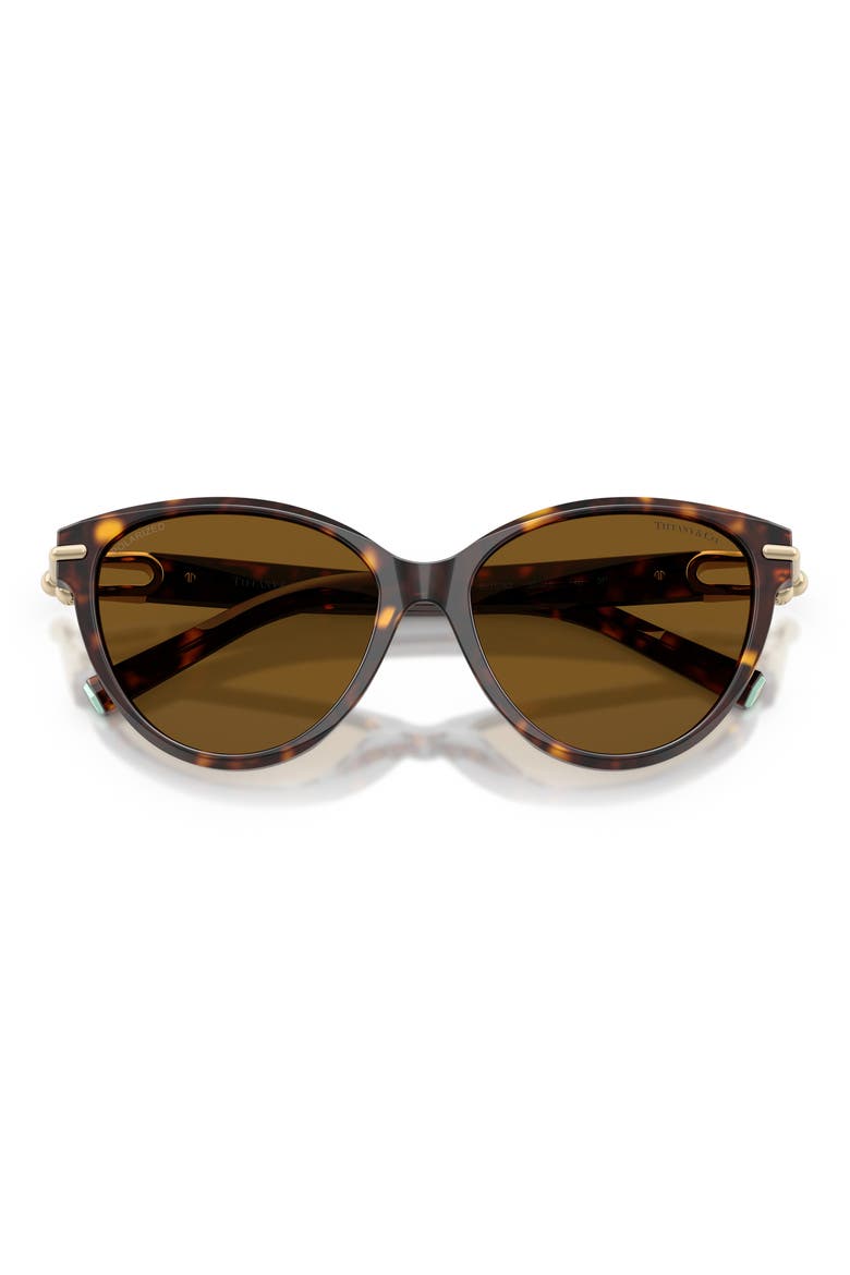 56mm Polarized Cat Eye Sunglasses, Alternate, color, HAVANA / DARK BROWN POLAR