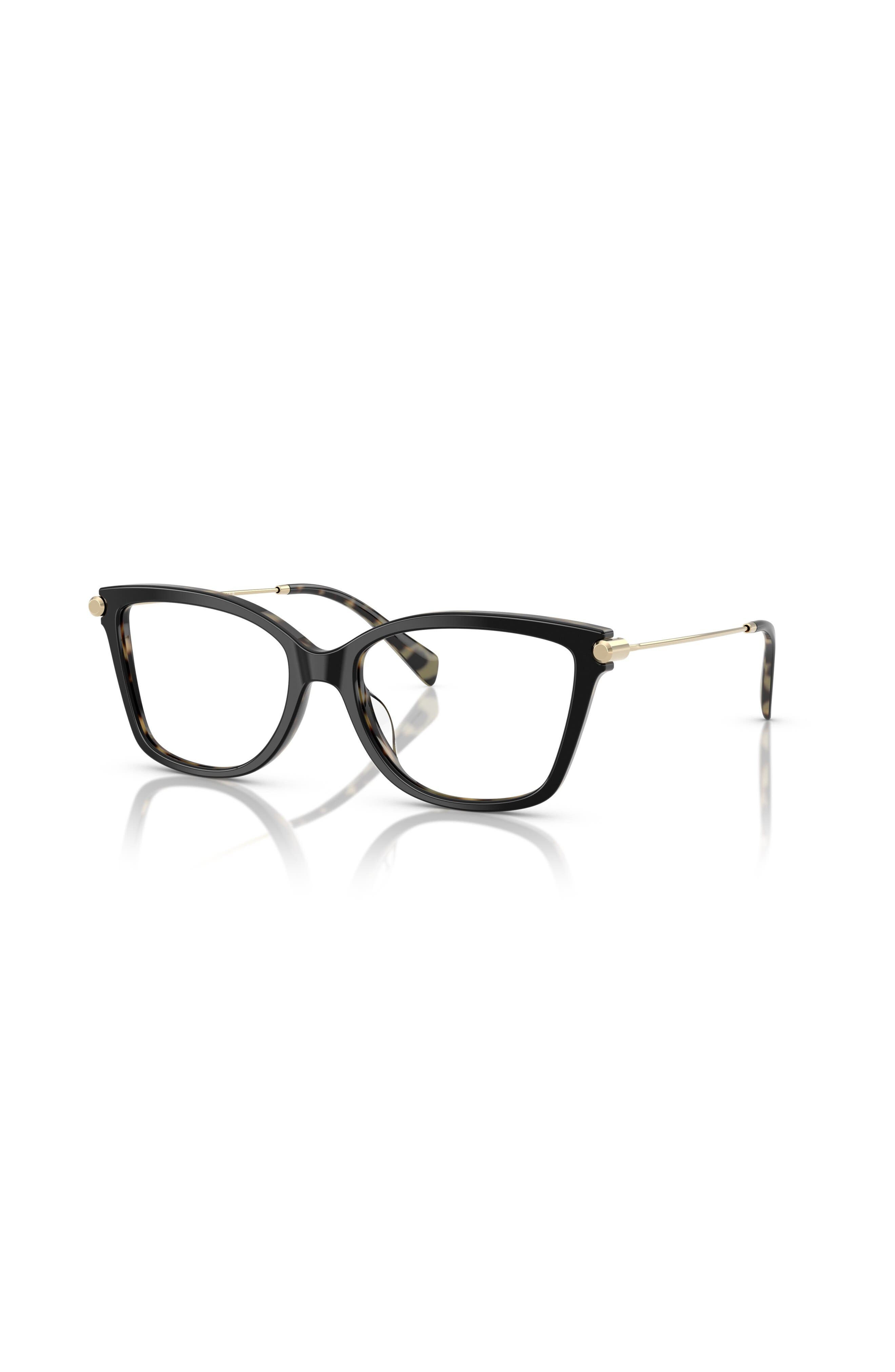 selected Black Tortoise
