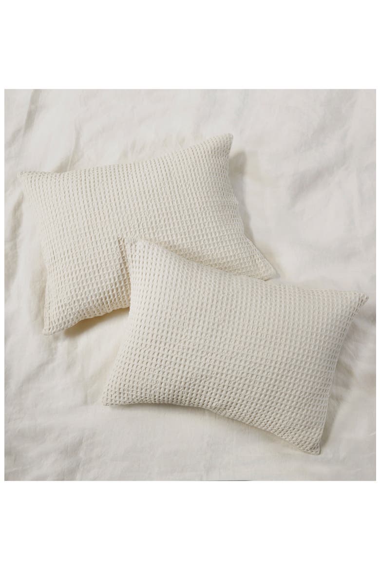 Zuma Sham, Alternate, color, CREAM
