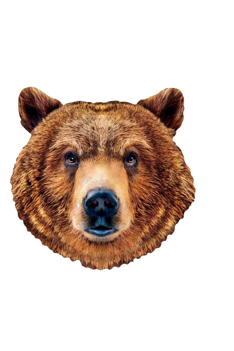 Grizzly Bear 100 Piece Shaped Puzzle, Alternate, color, Multicolor