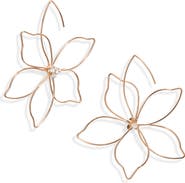 Nordstrom Flower Threader Earrings