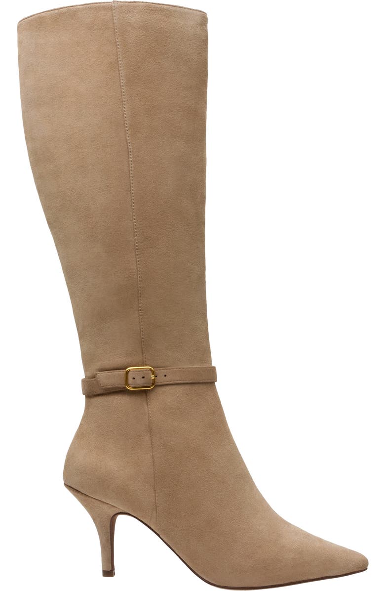 Linea Paolo Parson Tall Boot, Alternate, color, Fawn