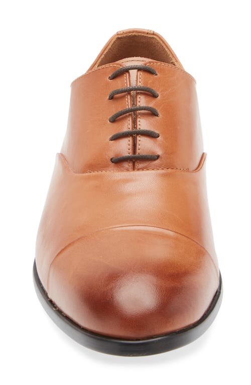 Bruno Magli Ricci Leather Oxford In Cognac