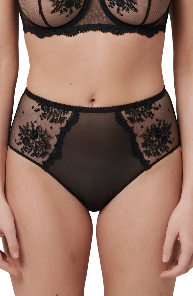 Simone Perele Intrigue Floral Embroidered Briefs, Main, color, Black
