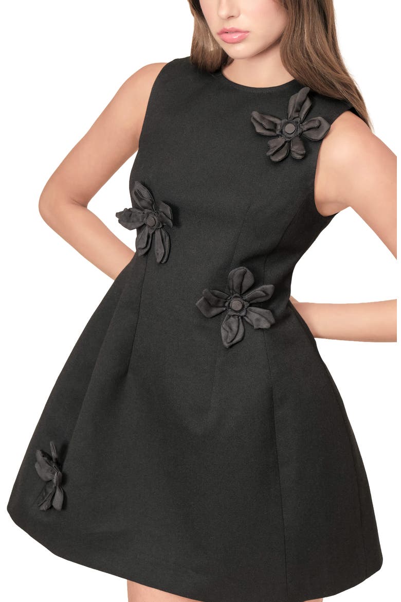 Loretta Floral Appliqué Minidress, Alternate, color, BLACK