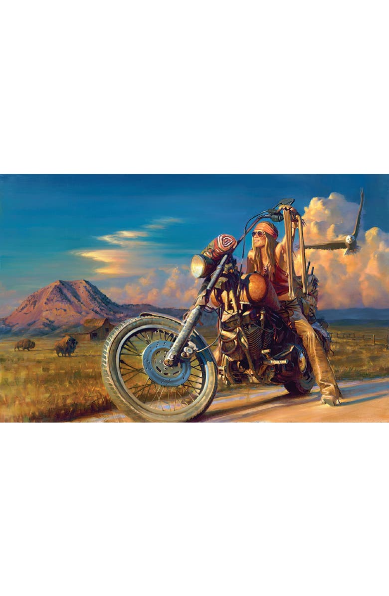 Sunsout Free Spirit 1000 piece Jigsaw Puzzle for Adults, Alternate, color, Multicolor