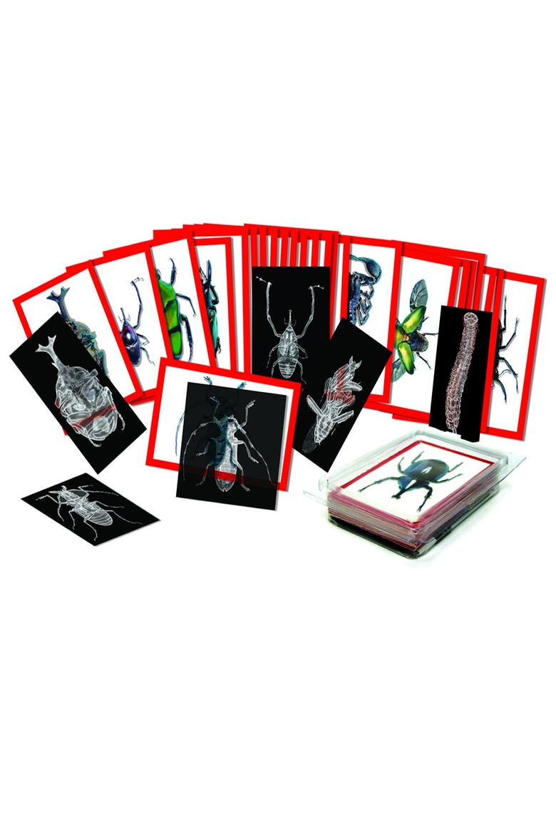 Insect X-Ray and Picture Cards, Alternate, color, Multicolor