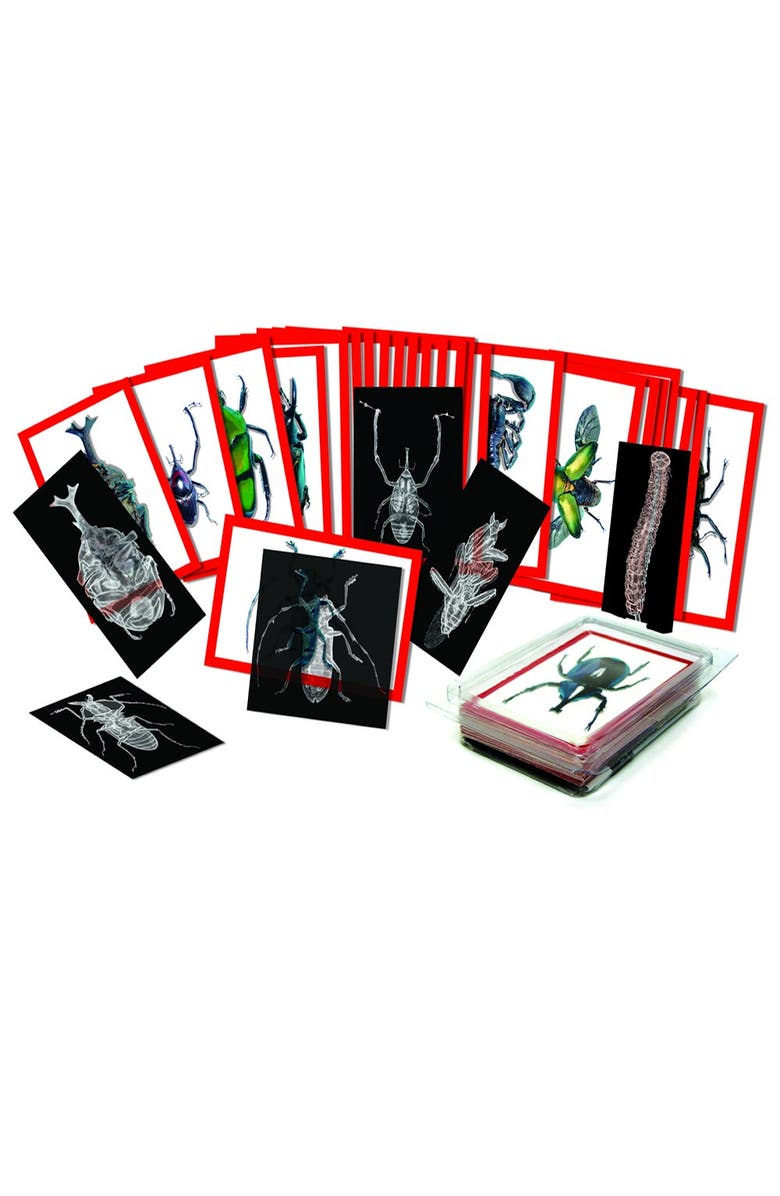 Roylco Insect X-Ray and Picture Cards, Alternate, color, Multicolor